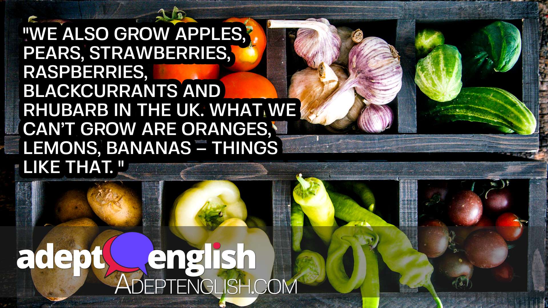 A photograph of vegetables. This English language podcast lesson is about words you might use in an English garden.
