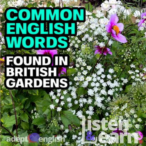 A photograph of some flowers as the 2021 Hampton Court flower show. Today we practice common English words used in the garden.