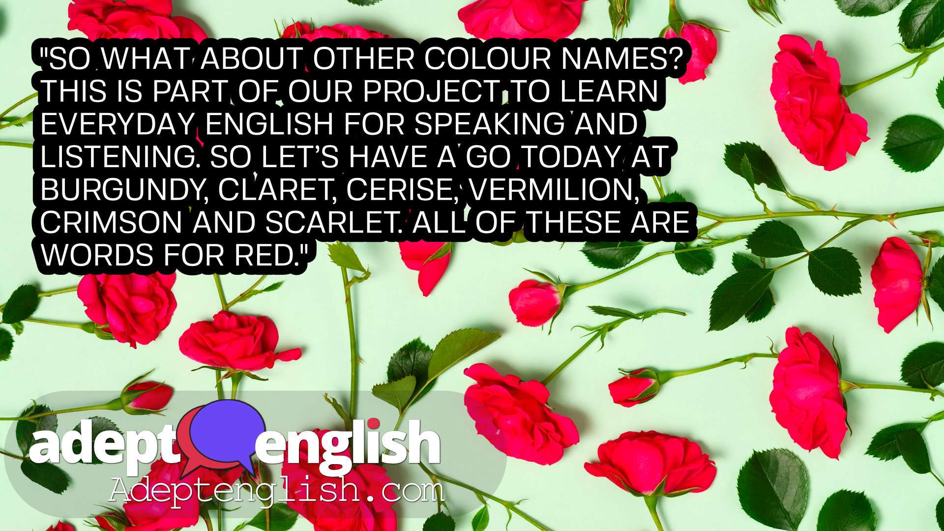 A photograph crimson roses. In this English lesson we talk through more descriptive words and phrases for the colour red.