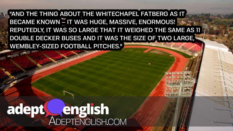 A photograph of a football pitch. In our English language listening practice lesson we talk about a fatberg longer than a football pitch!