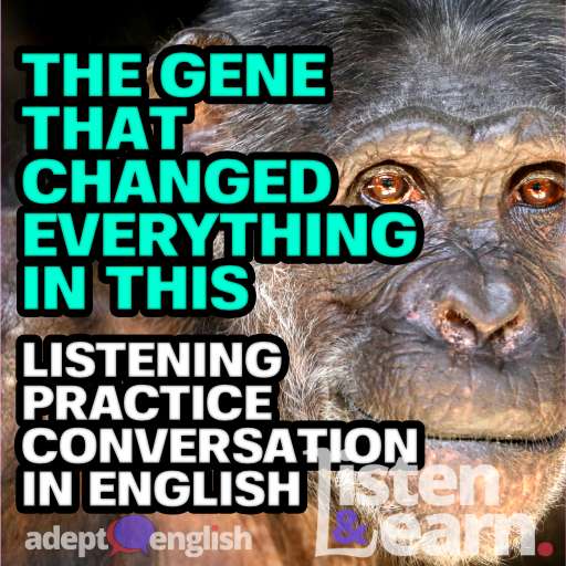 A close up portrait of a black Chimpanzee. The moral hazard of playing with creation is today's conversation in English for English listening practice.