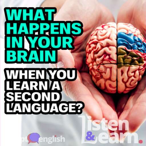 A graphic of a doctor holding model of brain in clinic, as we explain the science behind the Adept English way of learning to speak a English.