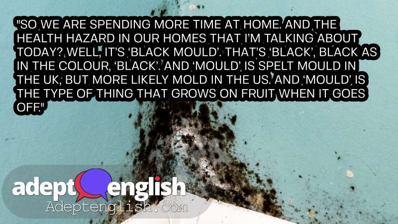 A photo of black mould in a room corner indoors. Conversations in English that will help you improve your listening skills so you can easily connect and interact with English speakers.