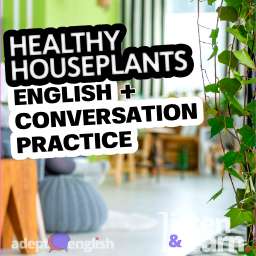 A photo of an Ivy house plant in a nice house. Interesting conversations in English that will help you improve your listening skills, which is one of the most important aspects of speaking English.