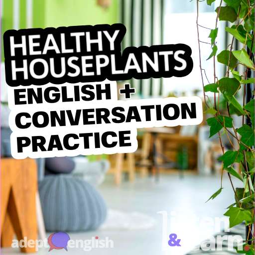 A photo of an Ivy house plant in a nice house. Interesting conversations in English that will help you improve your listening skills, which is one of the most important aspects of speaking English.
