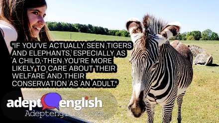 Child in drive through safari sees a zebra. An English language listening lesson about a trip to a safari park.