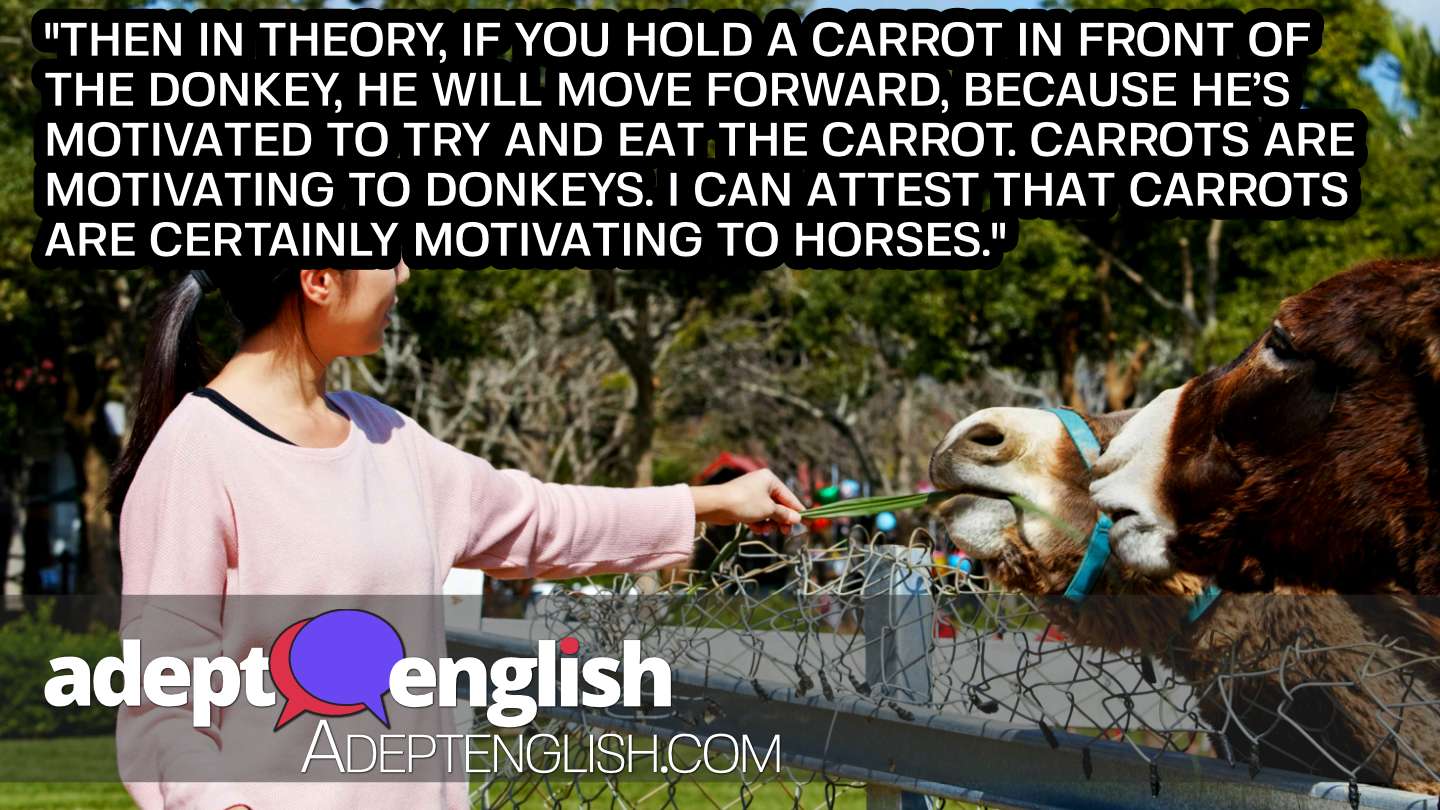 A photograph of a woman feeding some donkeys, who seem to prefer the carrot over the stick when it comes to motivation in our English idioms lesson.