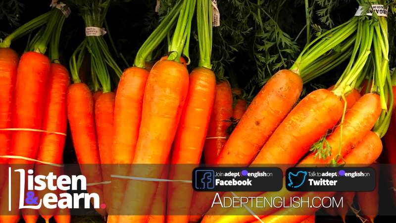 A vibrant photograph of bright orange carrots, which are the star of our English lesson on an English idiom.