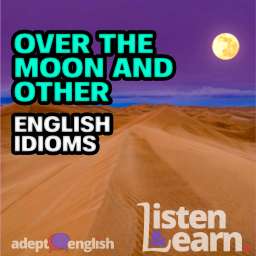 A photo of a full moon over the sand dunes in the Sahara desert. Todays English language lesson is all about moon related English idioms.