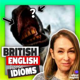 A close up photo of an open horses mouth. Become more fluent in your spoken English with this British English idioms audio lesson.