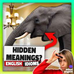 An African elephant in a room. Confused about English idioms? Let’s solve it! Tune into our podcast and say goodbye to awkward conversations. Simple, fun, and ultra-effective!