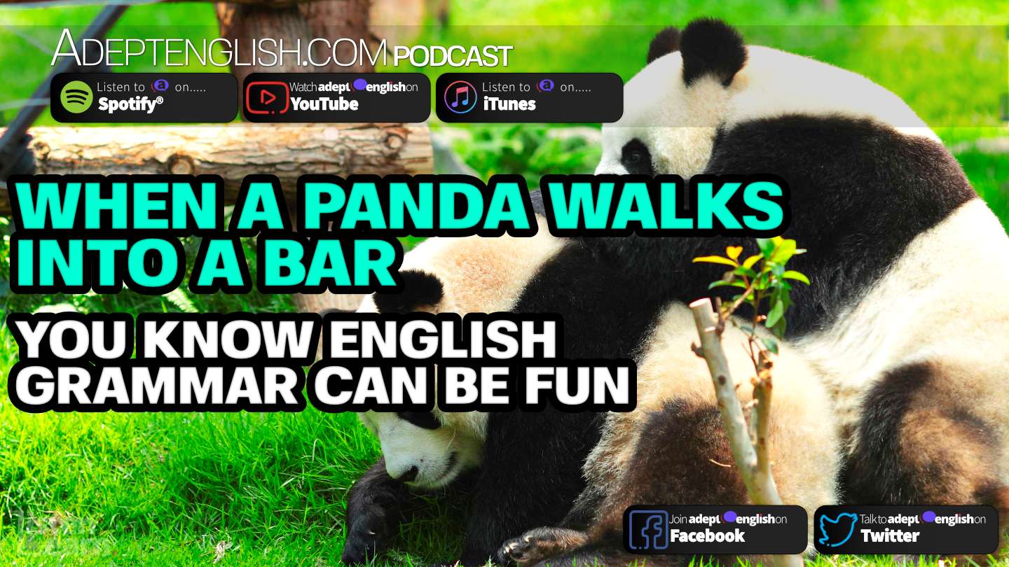 When A Panda Walks Into A Bar You Know English Grammar Can Be Fun Ep 409