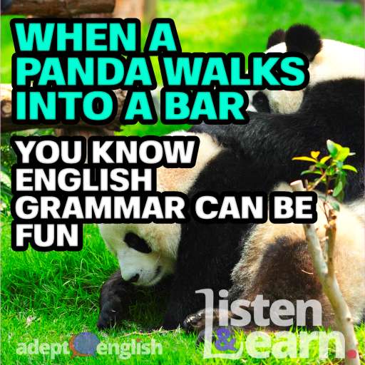 A photograph of two panda in a green grass field. The grammar example used in this English grammar lesson uses a panda to help get the point across.