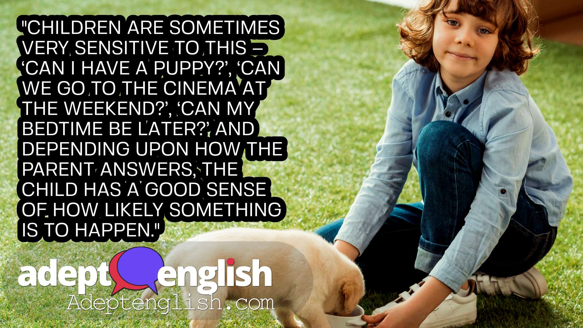 A photograph of a boy feeding his Labrador puppy on grass. English grammar - Using English adverbs for probability.