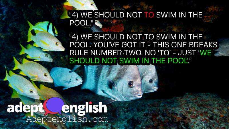 A photograph of a school of fish. This podcast will use lots of examples to explain how 3 simple rules will help you use the most common modal verbs correctly. Learn English grammar naturally and easily.