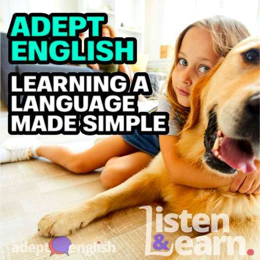 A young girl laying on the floor hugging a rescued golden retriever dog, used to help explain the role of the RSPCA while learning to speak English fluently.