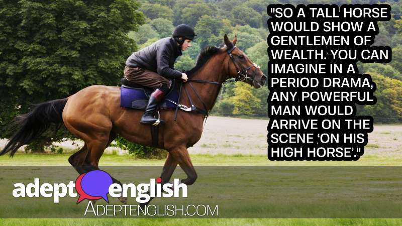 A photograph of man on a bay horse galloping across grass. Talked about in this English horse idiom lesson.
