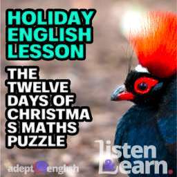 A photograph of a colourful crested partridge up close, used to help describe the 12 Days of Christmas English lesson.
