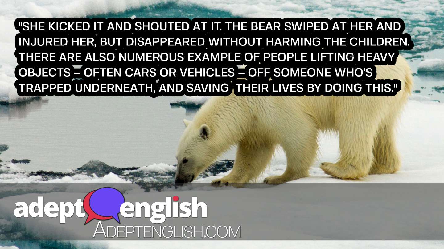 A photograph of a polar bear in the Chukchi Sea, Arctic Ocean. Interesting English listening practice.