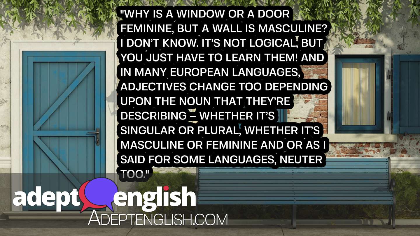 A photograph of a facade with a door and window. As we as the question, why do some languages use gender for objects?
