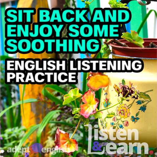 A lovely photo of an eclectic garden. As we ease into some soothing spring English language listening practice.