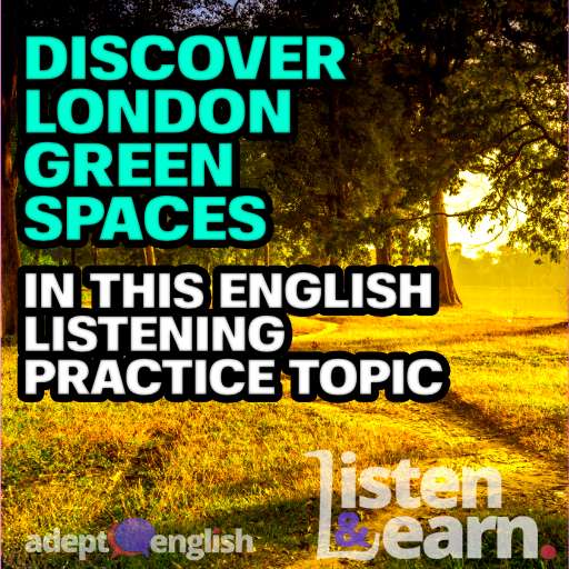 A photograph of a woodland park path. We visit Londons parks in todays English language listening practice.