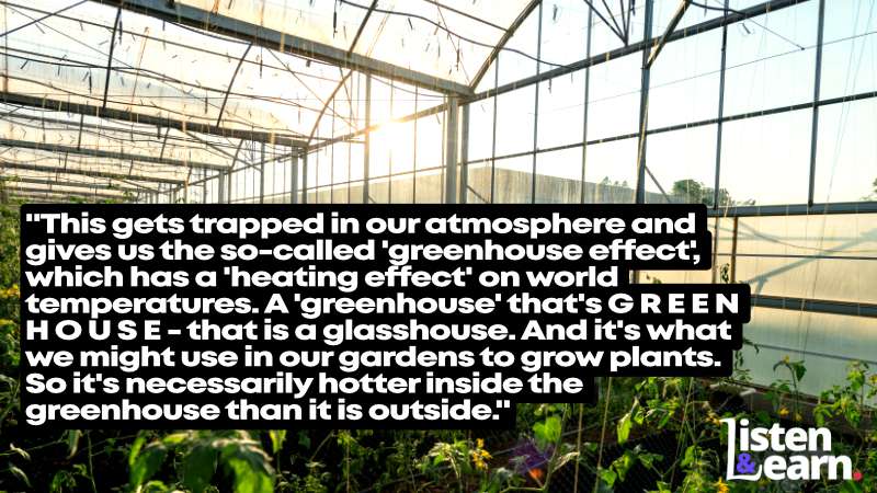A large greenhouse full of plants. Learn more about us and how we deal with heatwaves and climate change in today's English listening practice lesson.