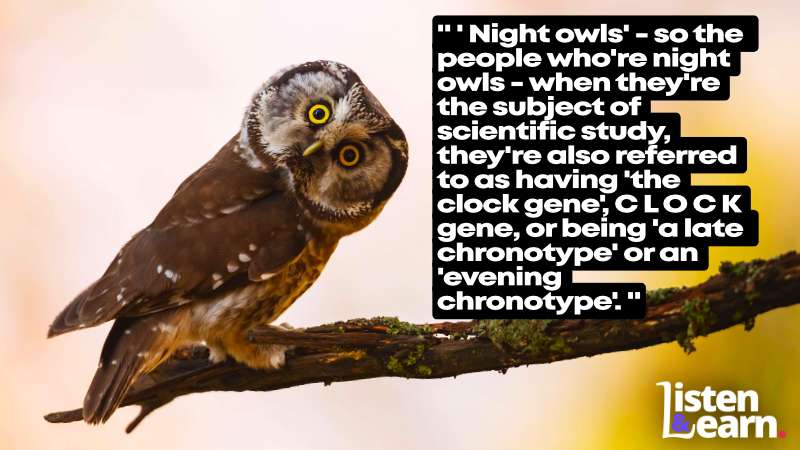 A photograph of an owl on a branch. English listening practice to help you understand extended and complex speech on familiar topics.