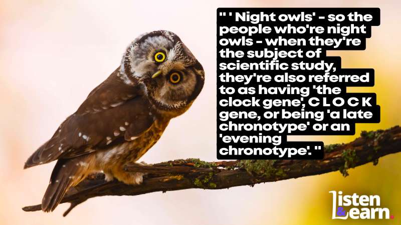 Intensive English Center - Idiom of the day: night owl You call someone a  night owl if they are always (or usually) up late. This is the opposite of  an early bird