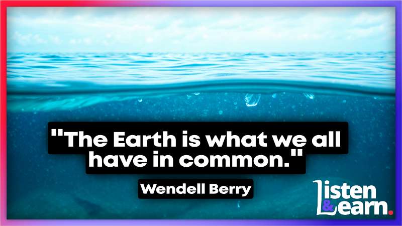 A cross section of ocean water showing plastic bits floating just beneath the surface. Learn key English words for talking about environmental issues.