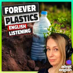 Plastic waste thrown into the environment and forgotten. Improve your listening skills with real-life, relevant content