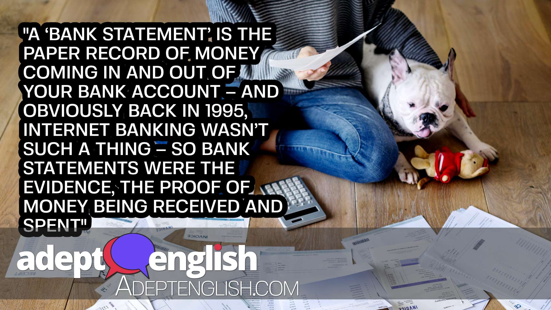 A photograph of a woman and her pet dog looking at bank statements. We explore the types of English phrases encountered in an investigation.