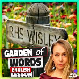 A weathered wooden sign that says RHS Wisley in front of a very bright and colourful border of flowers. Learn English with a beautiful garden tour.