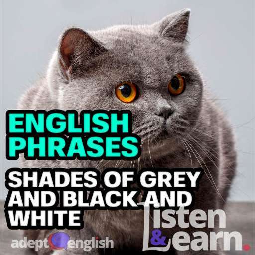 Every Adept English lesson will help you learn to speak English fluently.