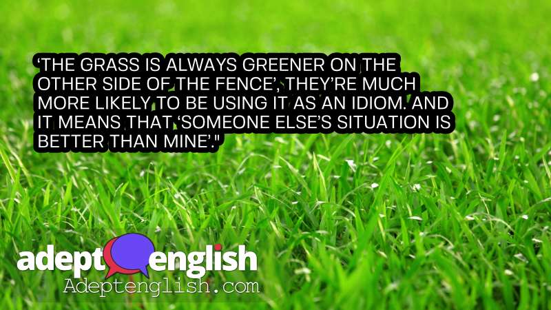 A photograph lush green grass. Useful English idioms explained while we practice speaking English.