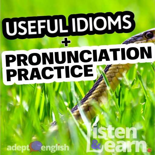 A photograph of a garter snake slithering through grass. We explain some interesting English idioms in todays English speaking practice lesson.