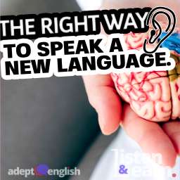 A photo of a model brain on a hand with two areas of the brain highlighted. We hear a lot about how important learning English is, but that doesn’t tell us anything useful. How do you actually learn English.