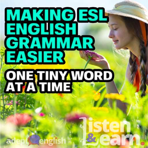 Summer on an organic farm. A young woman in a field of flowers, the cover images used for this ESL English grammar lesson.