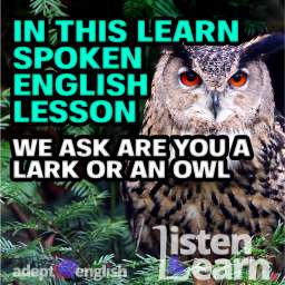 A photograph of a Eurasian eagle owl, English language explanation of why people are sometimes called larks and owls.