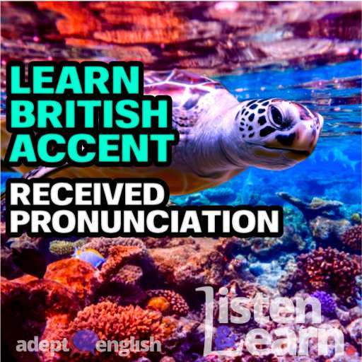 Every Adept English lesson will help you learn to speak English fluently.