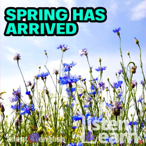 Could not resist using a great photograph of these lovely spring flowers. As we learn more English conversation through listening.