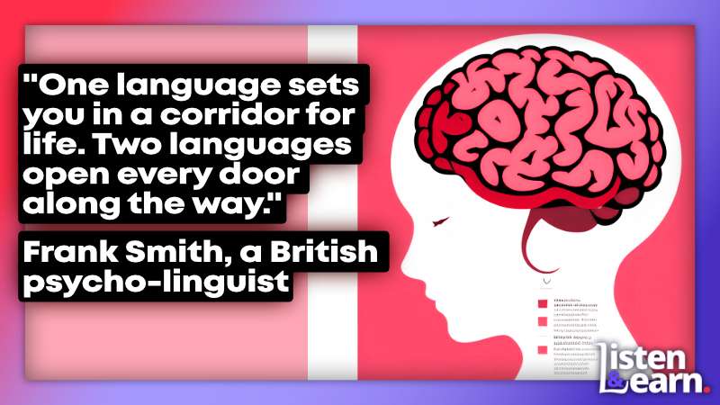 An illustration of a persons brain. Boost your British English with Adept English: Fun lessons turn listeners into speakers! Grab your FREE English lessons now!