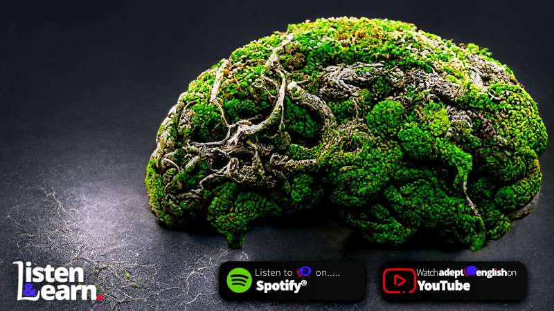 A digital image of a human brain made of green moss. Your brain is equipped with all the tools you need to learn any language.
