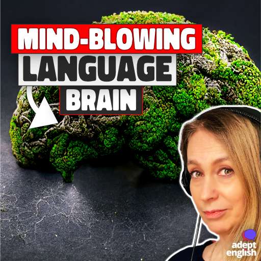 A digital image of a human brain made of green moss. Your brain is equipped with all the tools you need to learn any language.