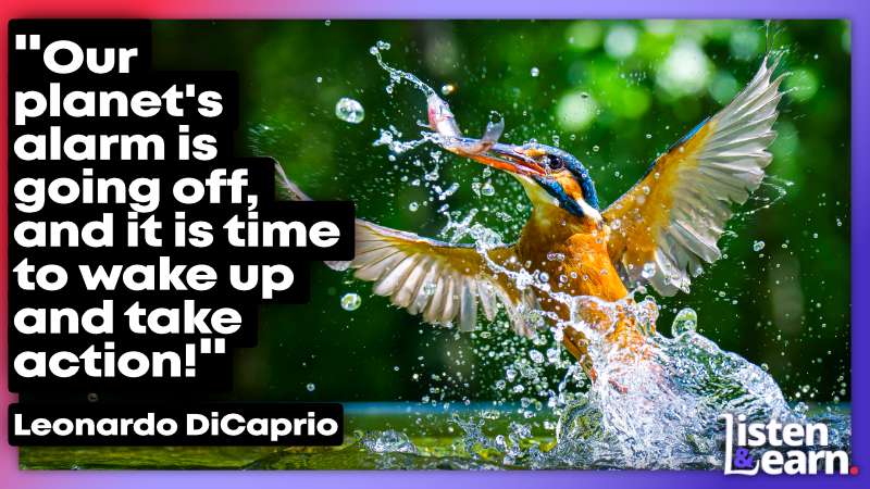 A British Kingfisher in all its glory! From electric cars to greenhouse gases, get fluent talking about real-world issues. Our lessons on YouTube!