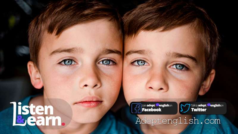 A photograph of twin boys. Everything about Homophone. Confusing Words In English. This is a great place to go when you are stuck with grammar or confused by homophones.