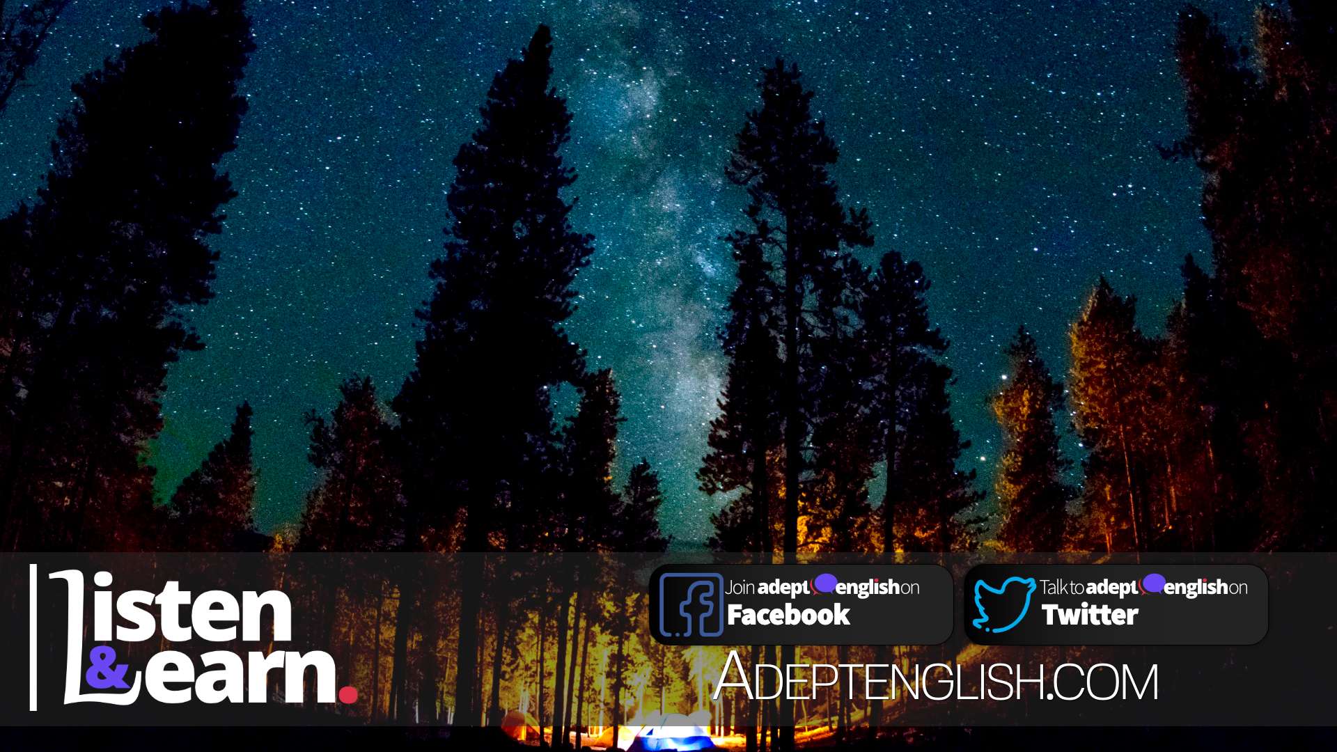 A magnificent photograph of the stars at night from a camping site in a forest. Learning more than just how to speak English fluently.
