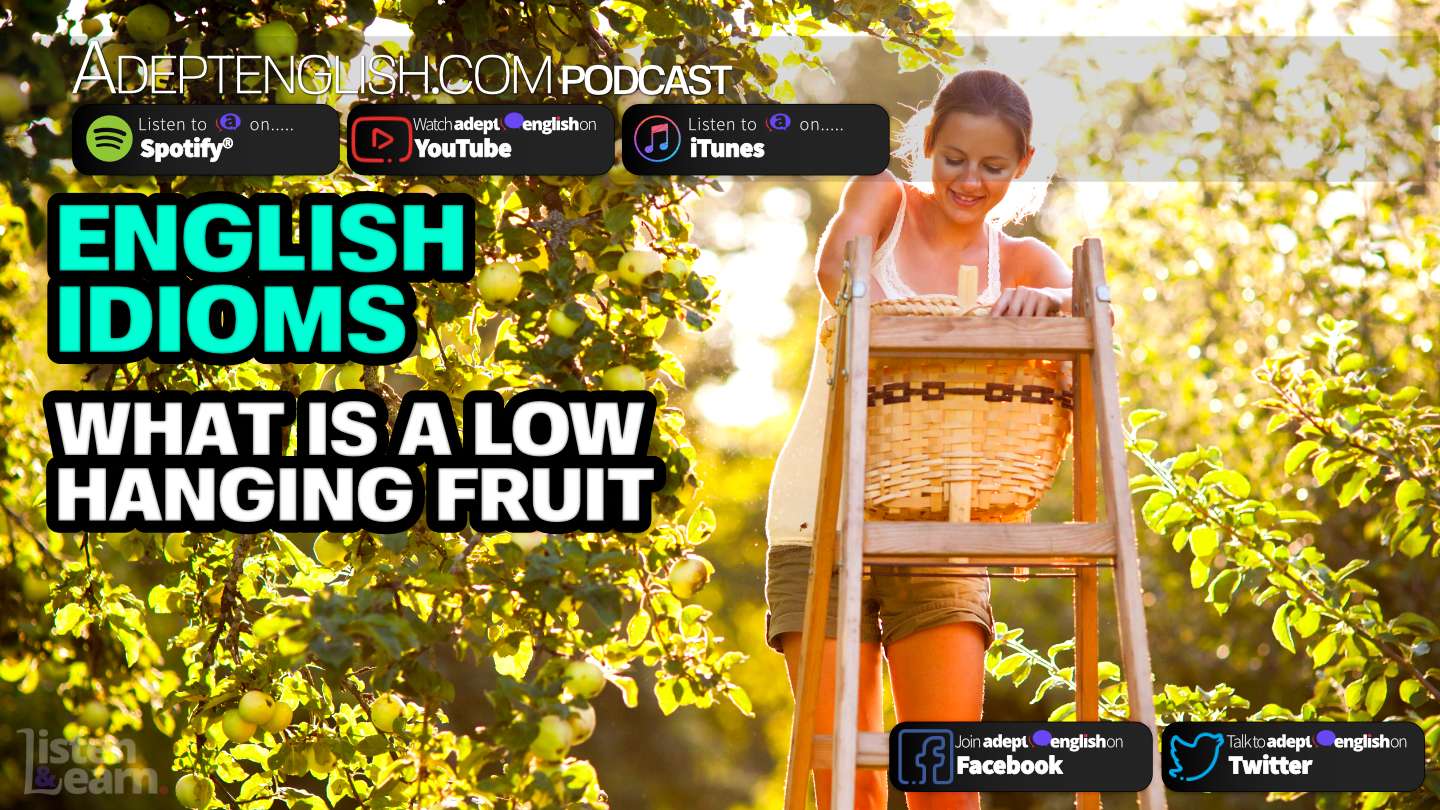 what-is-a-low-hanging-fruit-ep-263