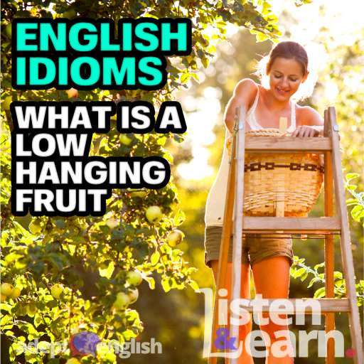 Every Adept English lesson will help you learn to speak English fluently.