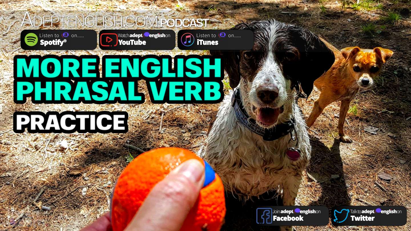 more-english-phrasal-verb-practice-ep-411